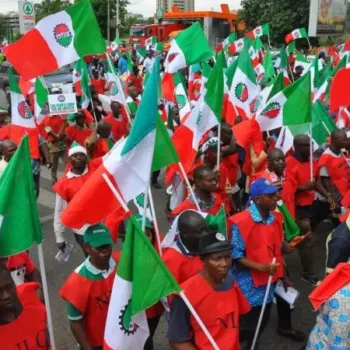 The NLC during a protest/Lionscrib