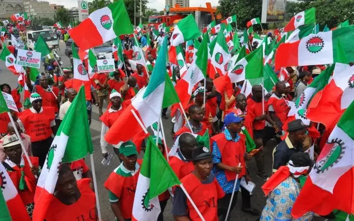 The NLC during a protest/Lionscrib