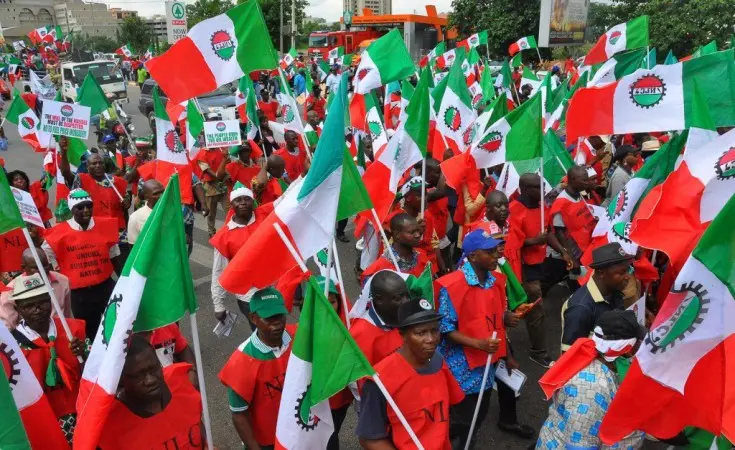 The NLC during a protest/Lionscrib