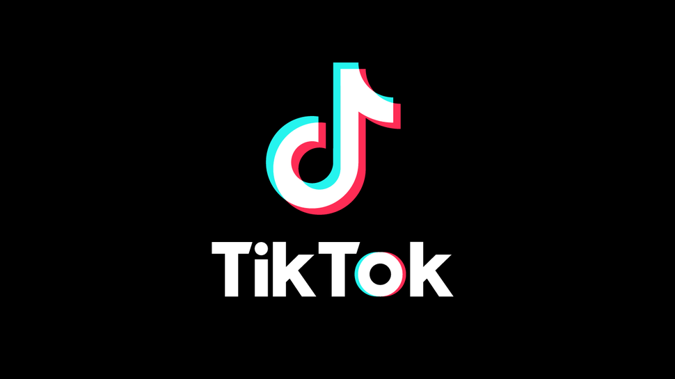 TikTok has billions of users around the globe/TikTok