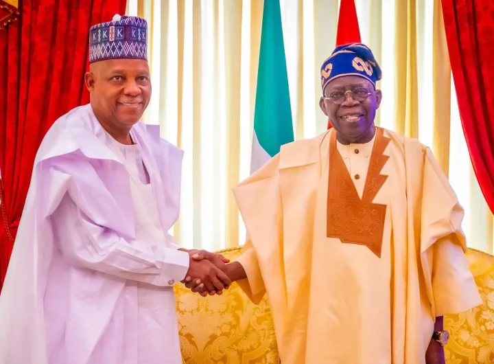 President Tinubu and Vice President Shettima won the presidential election in 2023/Lionscrib