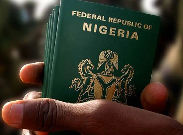 Nigerian passport/Lionscrib