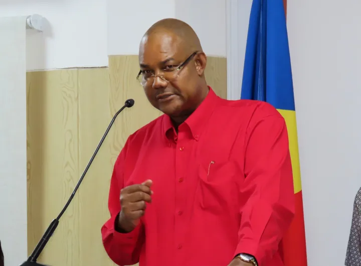 Patrick Herminie delivers speech after winning presidential election/AP