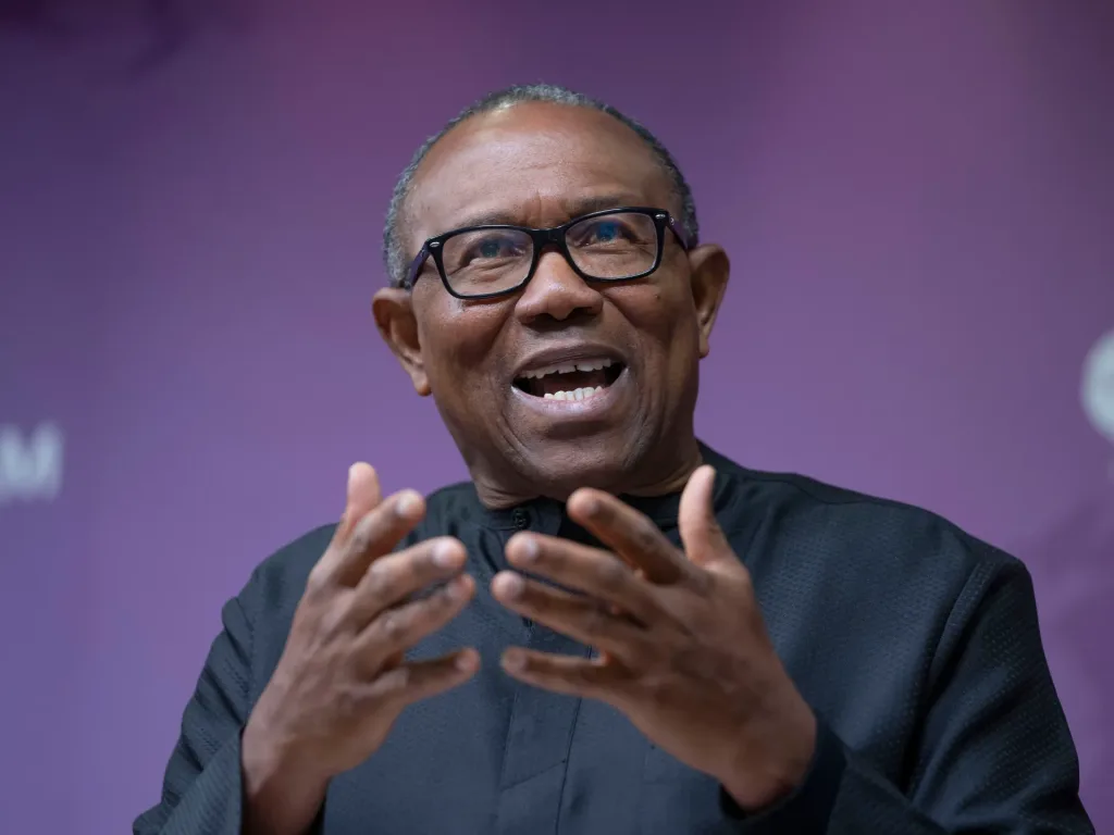 Peter Obi ran against President Tinubu in the 2027 presidential election/Lionscrib News