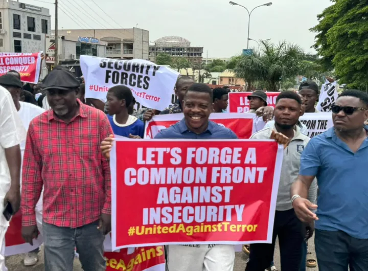 Protesters are demanding an end to insecurity/Lionscrib