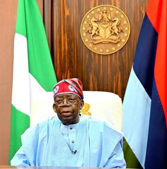 Despite the harsh economic realities confronting Nigerians, Tinubu says his economic policies are yielding positive results/Lionscrib
